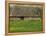 Half Timbered Farm Building Near Pont Audemer, Marais Vernier, Haute Normandie, France-Michael Busselle-Framed Premier Image Canvas