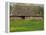 Half Timbered Farm Building Near Pont Audemer, Marais Vernier, Haute Normandie, France-Michael Busselle-Framed Premier Image Canvas