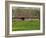 Half Timbered Farm Building Near Pont Audemer, Marais Vernier, Haute Normandie, France-Michael Busselle-Framed Photographic Print