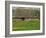 Half Timbered Farm Building Near Pont Audemer, Marais Vernier, Haute Normandie, France-Michael Busselle-Framed Photographic Print