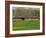 Half Timbered Farm Building Near Pont Audemer, Marais Vernier, Haute Normandie, France-Michael Busselle-Framed Photographic Print