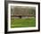 Half Timbered Farm Building Near Pont Audemer, Marais Vernier, Haute Normandie, France-Michael Busselle-Framed Photographic Print