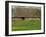 Half Timbered Farm Building Near Pont Audemer, Marais Vernier, Haute Normandie, France-Michael Busselle-Framed Photographic Print