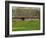 Half Timbered Farm Building Near Pont Audemer, Marais Vernier, Haute Normandie, France-Michael Busselle-Framed Photographic Print