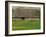 Half Timbered Farm Building Near Pont Audemer, Marais Vernier, Haute Normandie, France-Michael Busselle-Framed Photographic Print