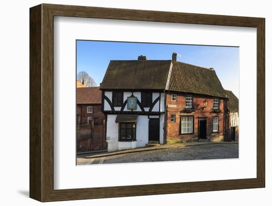 Half-Timbered Harlequin, Lincolnshire-Eleanor Scriven-Framed Photographic Print