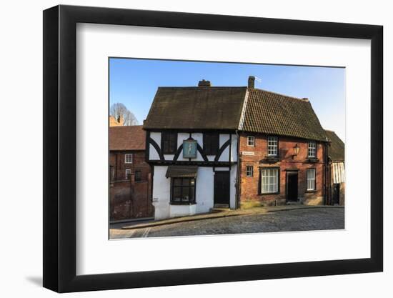 Half-Timbered Harlequin, Lincolnshire-Eleanor Scriven-Framed Photographic Print