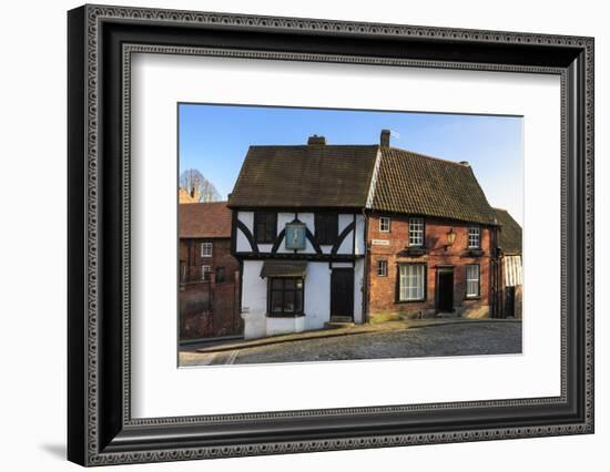 Half-Timbered Harlequin, Lincolnshire-Eleanor Scriven-Framed Photographic Print