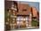 Half Timbered Houses, Alsace, France-David Barnes-Mounted Photographic Print