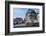 Half-Timbered Houses and Cafe on the Market Square, Wernigerode, Harz, Saxony-Anhalt, Germany-G & M Therin-Weise-Framed Photographic Print