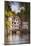 Half Timbered Houses in La Petite France-Julian Elliott-Mounted Photographic Print