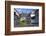 Half-timbered Houses in Monreal on River Elz, Eifel, Rhineland-Palatinate, Germany, Europe-Hans-Peter Merten-Framed Photographic Print