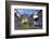 Half-timbered Houses in Monreal on River Elz, Eifel, Rhineland-Palatinate, Germany, Europe-Hans-Peter Merten-Framed Photographic Print