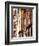 Half-Timbered Houses, Old Town, Tours, Loire Valley, France-David Hughes-Framed Photographic Print