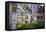 Half Timbered Norman Facades, Rouen, Normandy, France, Europe-Guy Thouvenin-Framed Premier Image Canvas