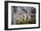 Half Timbered Norman Facades, Rouen, Normandy, France, Europe-Guy Thouvenin-Framed Photographic Print