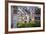 Half Timbered Norman Facades, Rouen, Normandy, France, Europe-Guy Thouvenin-Framed Photographic Print