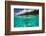 Half Water Half Land, Sharks in the Pacific Ocean, Moorea, Tahiti, French Polynesia-null-Framed Photographic Print
