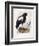 Haliaetus Pelagicus-Daniel Girard Elliot-Framed Giclee Print