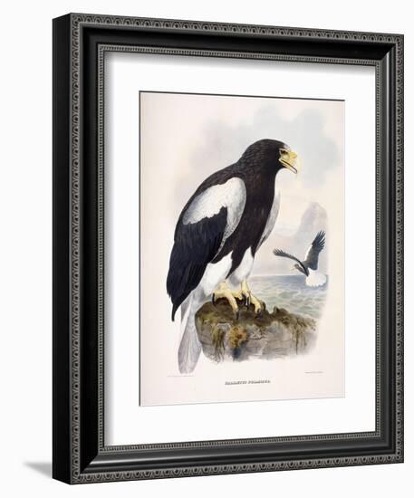 Haliaetus Pelagicus-Daniel Girard Elliot-Framed Giclee Print