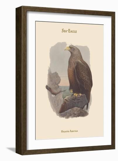 Haliates Albicilla - Sea-Eagle-John Gould-Framed Art Print