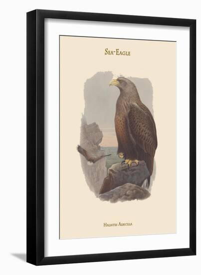 Haliates Albicilla - Sea-Eagle-John Gould-Framed Art Print