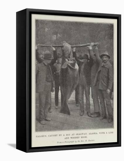 Halibut, Caught by a Boy at Skagway, Alaska, with a Line and Wooden Hook-null-Framed Premier Image Canvas