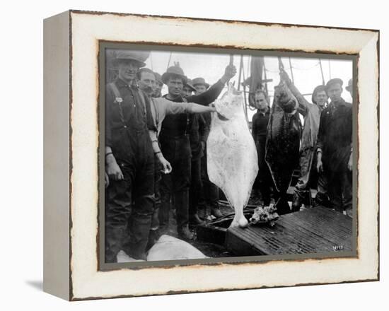 Halibut Fishermen on the Pacific-Alaska Coast, Undated-Asahel Curtis-Framed Premier Image Canvas