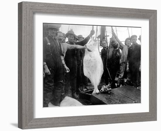 Halibut Fishermen on the Pacific-Alaska Coast, Undated-Asahel Curtis-Framed Giclee Print