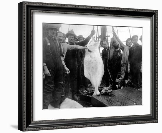 Halibut Fishermen on the Pacific-Alaska Coast, Undated-Asahel Curtis-Framed Giclee Print