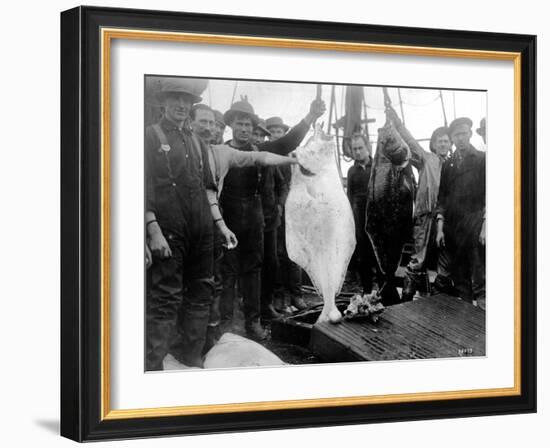 Halibut Fishermen on the Pacific-Alaska Coast, Undated-Asahel Curtis-Framed Giclee Print