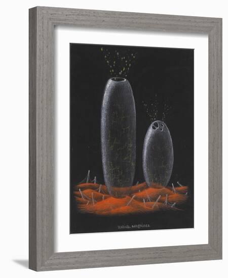 Halichondria Sanguinea: Sponge-Philip Henry Gosse-Framed Giclee Print