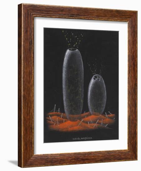 Halichondria Sanguinea: Sponge-Philip Henry Gosse-Framed Giclee Print