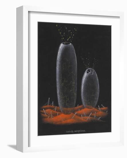 Halichondria Sanguinea: Sponge-Philip Henry Gosse-Framed Giclee Print