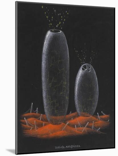 Halichondria Sanguinea: Sponge-Philip Henry Gosse-Mounted Giclee Print