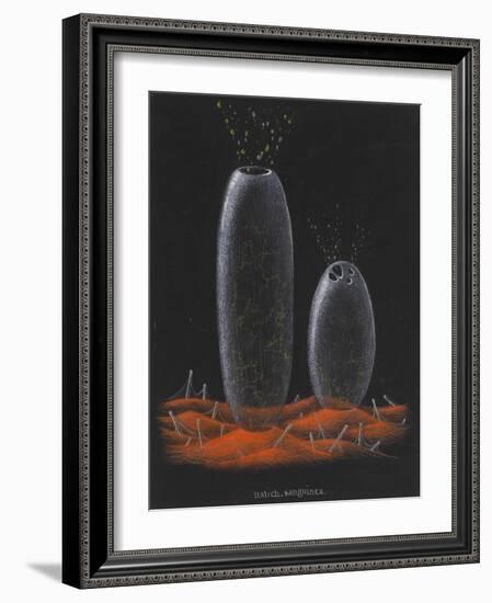 Halichondria Sanguinea: Sponge-Philip Henry Gosse-Framed Giclee Print