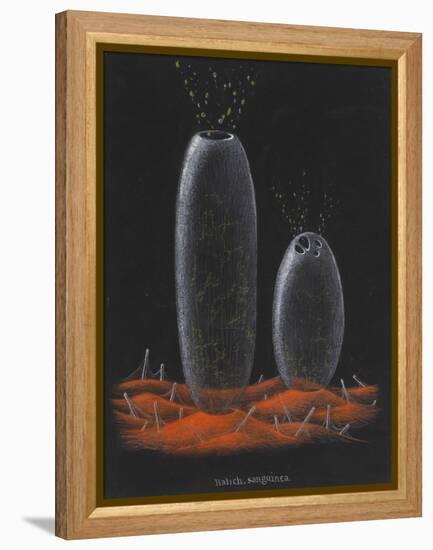 Halichondria Sanguinea: Sponge-Philip Henry Gosse-Framed Premier Image Canvas