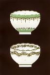 Derby Patterns, 1876-Hall & England-Premium Giclee Print