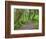 Hall of Mosses, Hoh Rain Forest, Olympic National Park, Washington, USA-Jamie & Judy Wild-Framed Photographic Print