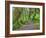 Hall of Mosses, Hoh Rain Forest, Olympic National Park, Washington, USA-Jamie & Judy Wild-Framed Photographic Print