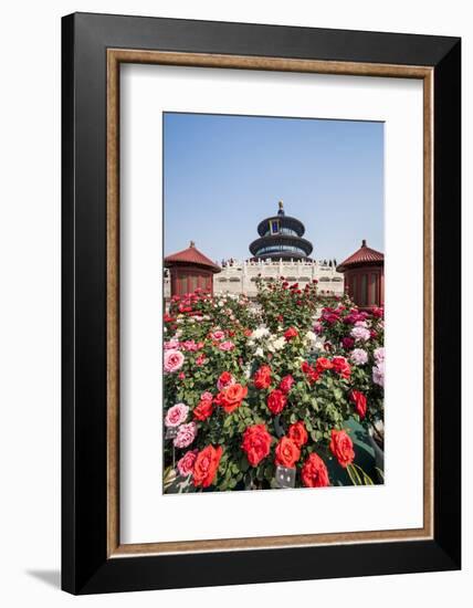 Hall of Prayer for Good Harvests in the Temple of Heaven, Beijing, China-Michael DeFreitas-Framed Photographic Print