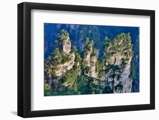 Hallelujah Mountains, Wulingyuan District, Mountain Peaks on Display-Darrell Gulin-Framed Photographic Print