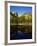 Hallet Peak Reflected in Dream Lake, Rocky Mountain National Park, Colorado, USA-Bernard Friel-Framed Photographic Print