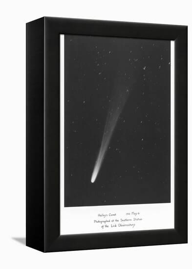 Halley's Comet Photograph-null-Framed Stretched Canvas