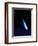 Halley's Comet-Detlev Van Ravenswaay-Framed Premium Photographic Print