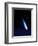 Halley's Comet-Detlev Van Ravenswaay-Framed Premium Photographic Print