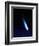 Halley's Comet-Detlev Van Ravenswaay-Framed Premium Photographic Print