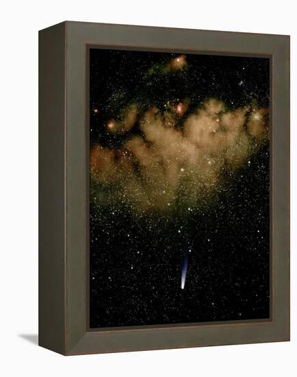 Halley's Comet-Detlev Van Ravenswaay-Framed Premier Image Canvas