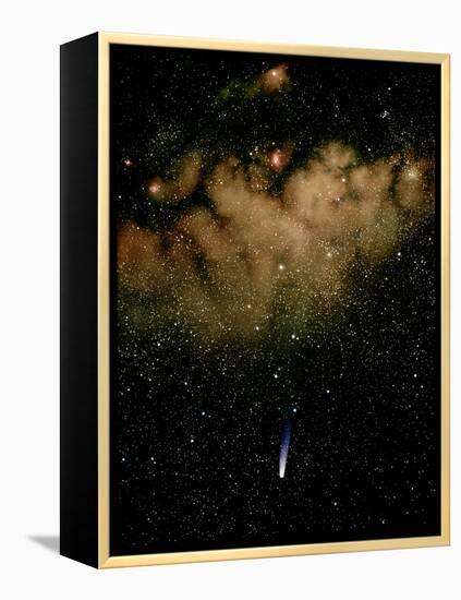Halley's Comet-Detlev Van Ravenswaay-Framed Premier Image Canvas