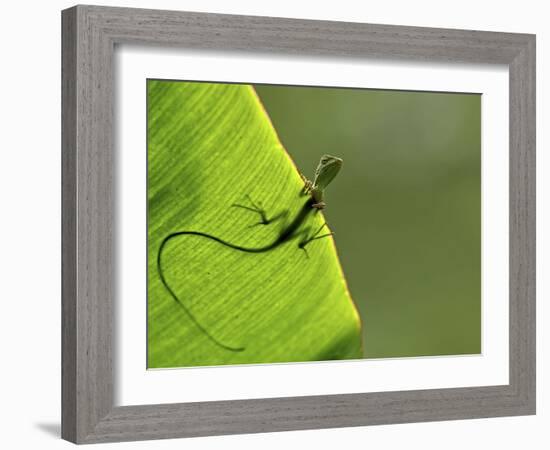 Hallo-Yoline Santosa-Framed Photographic Print